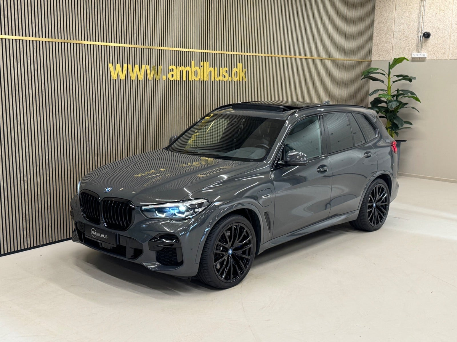 Grå BMW X5 fra 2023