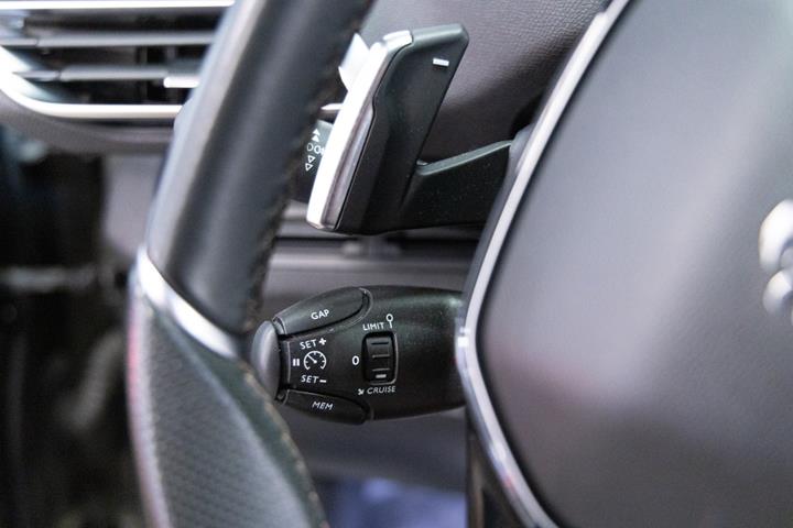 Grøn Peugeot 3008 fra 2019