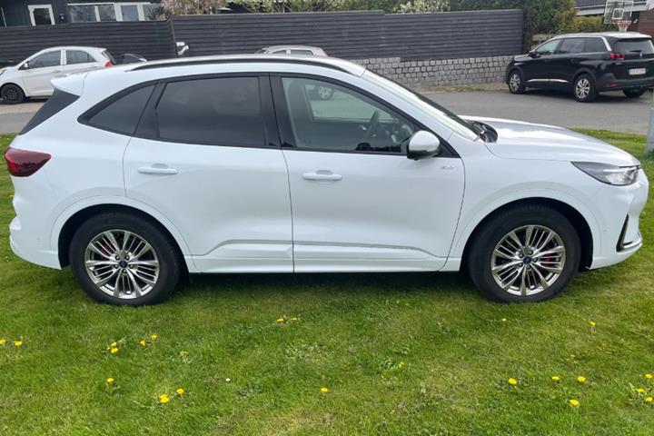 Hvid Ford Kuga fra 2024