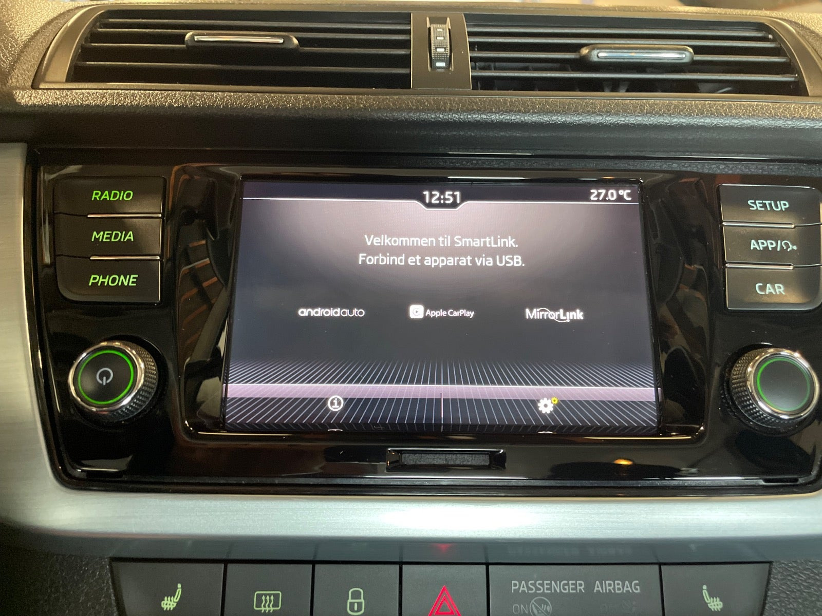 Grå Skoda Fabia fra 2019