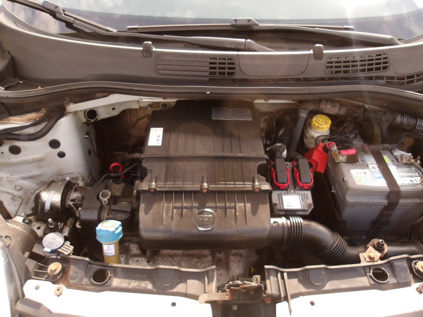 Hvid Fiat Panda fra 2012