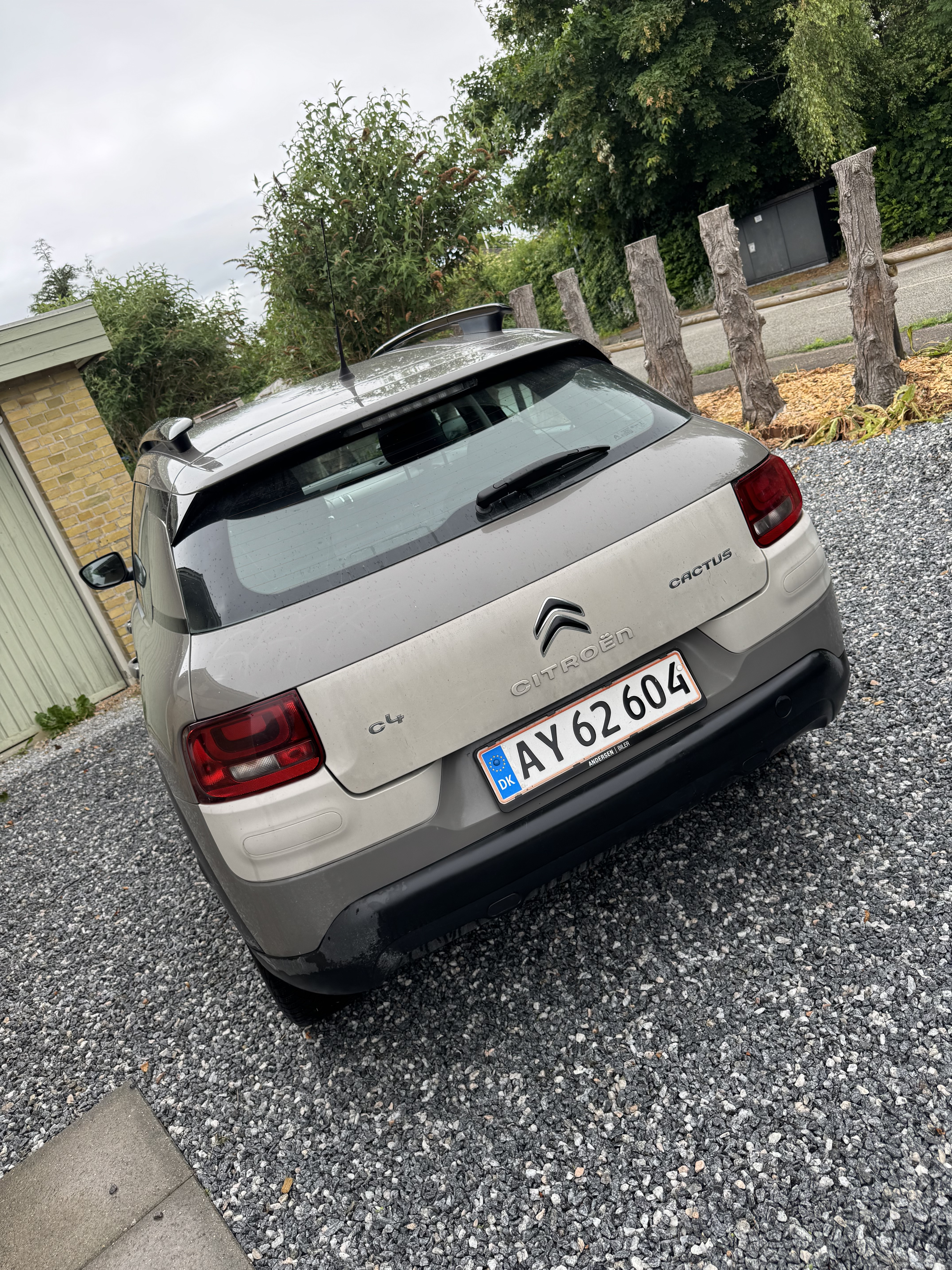 Brun Citroën C4 Cactus fra 2015
