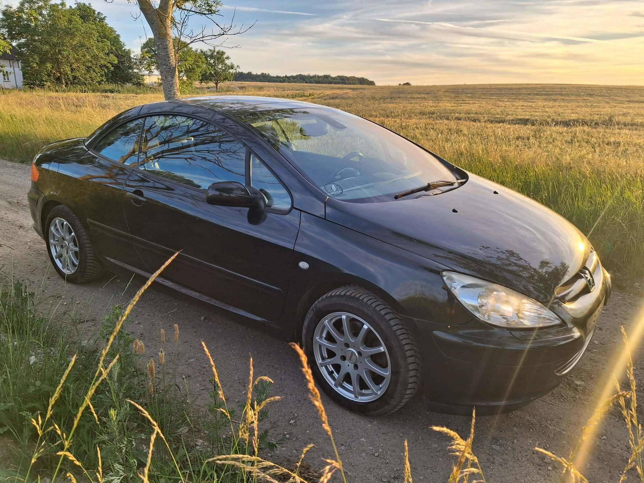 Sort Peugeot 307 fra 2004
