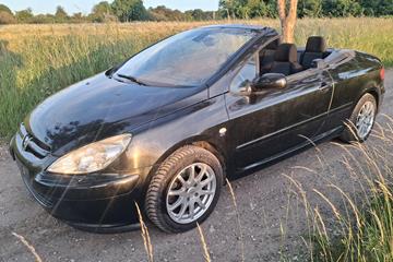 Peugeot 307 2,0 I CC
