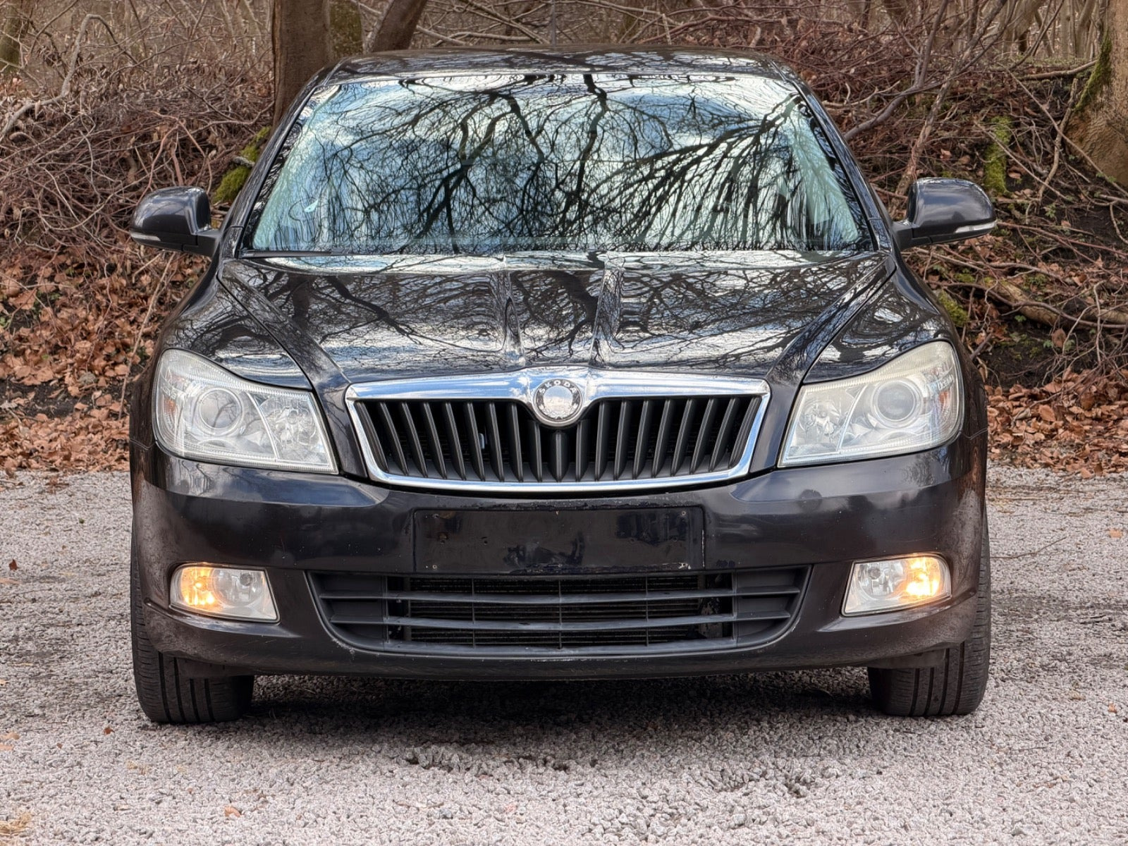undefined Skoda Octavia fra 2010