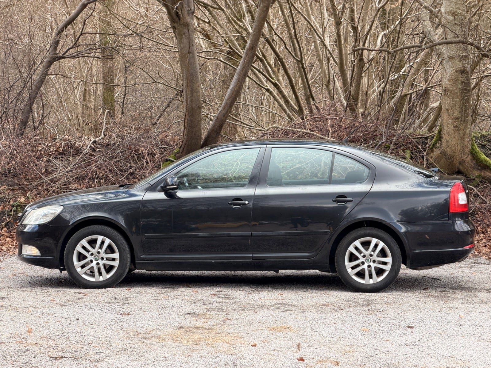 undefined Skoda Octavia fra 2010
