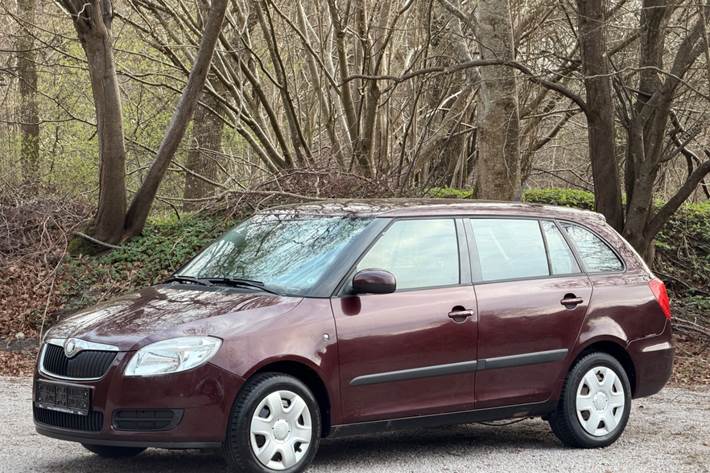 undefined Skoda Fabia fra 2009