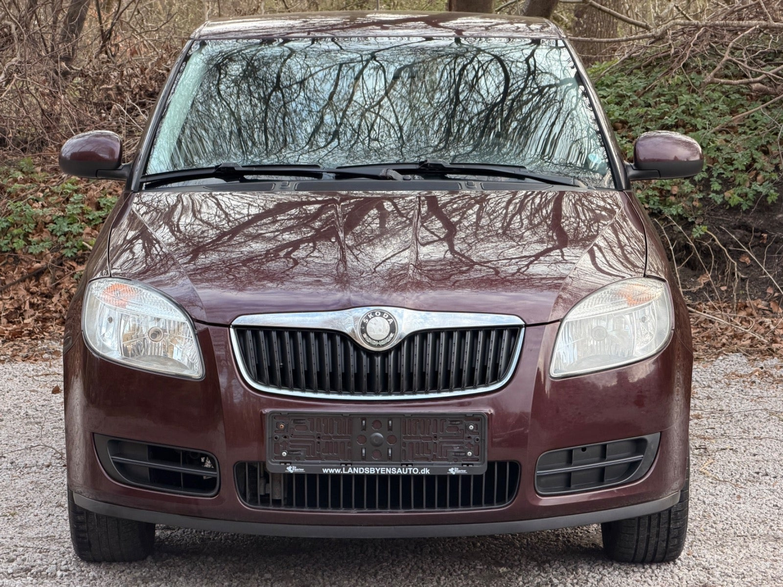 undefined Skoda Fabia fra 2009