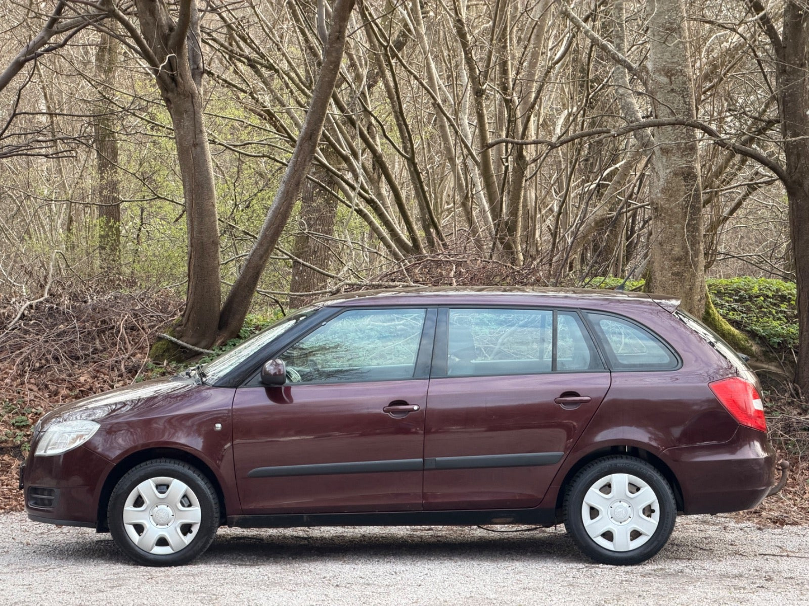 undefined Skoda Fabia fra 2009