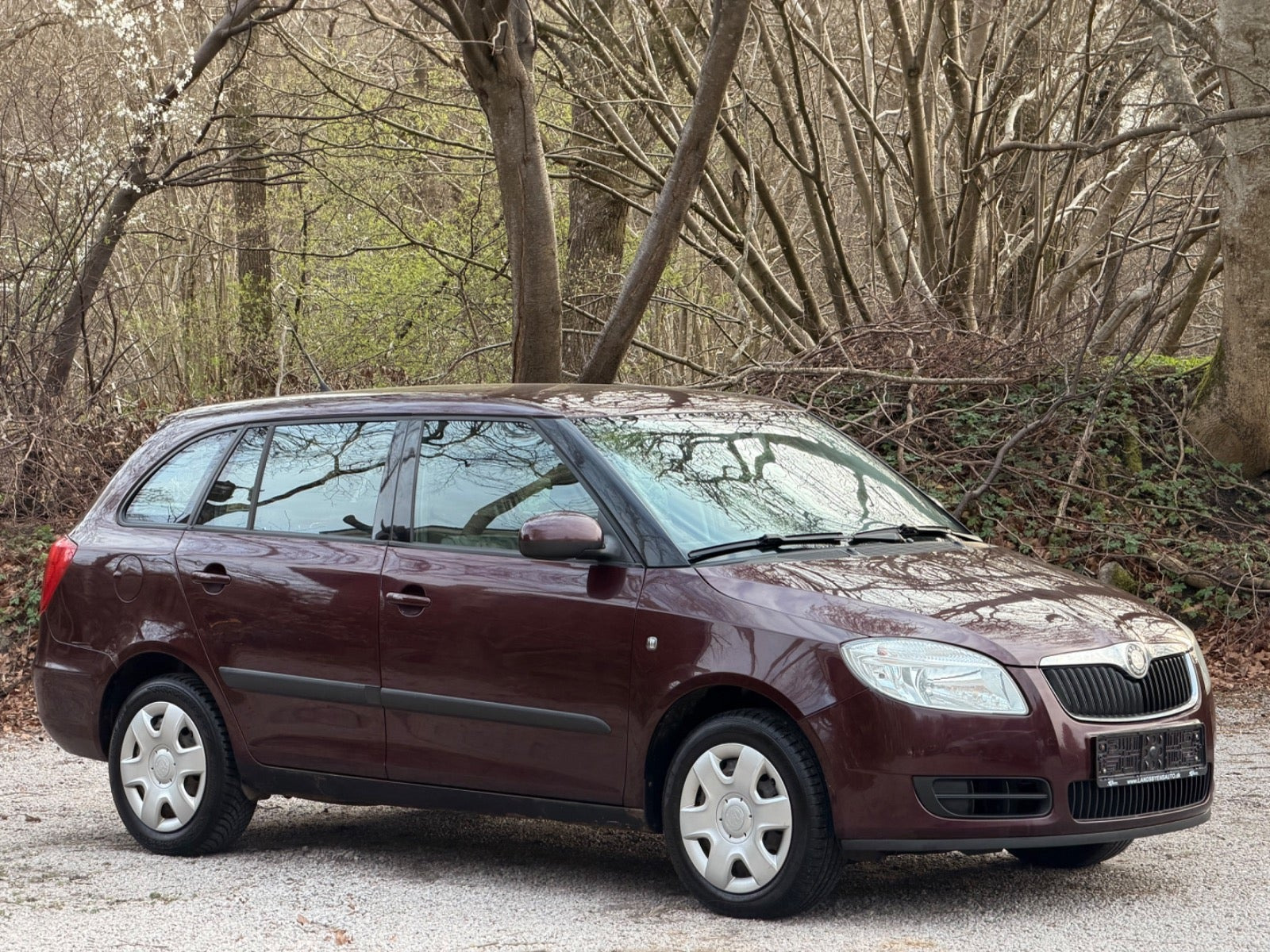 undefined Skoda Fabia fra 2009