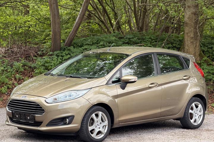 undefined Ford Fiesta fra 2013 set udefra