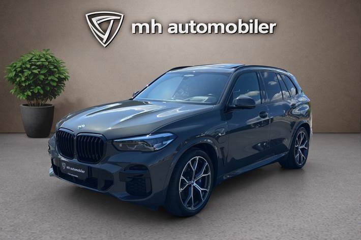 Grå BMW X5 fra 2023