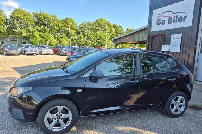 Grøn Seat Ibiza fra 2008