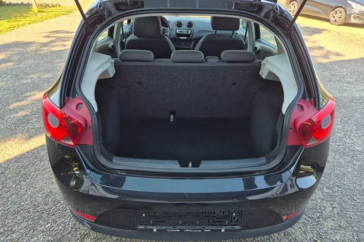 Grøn Seat Ibiza fra 2008