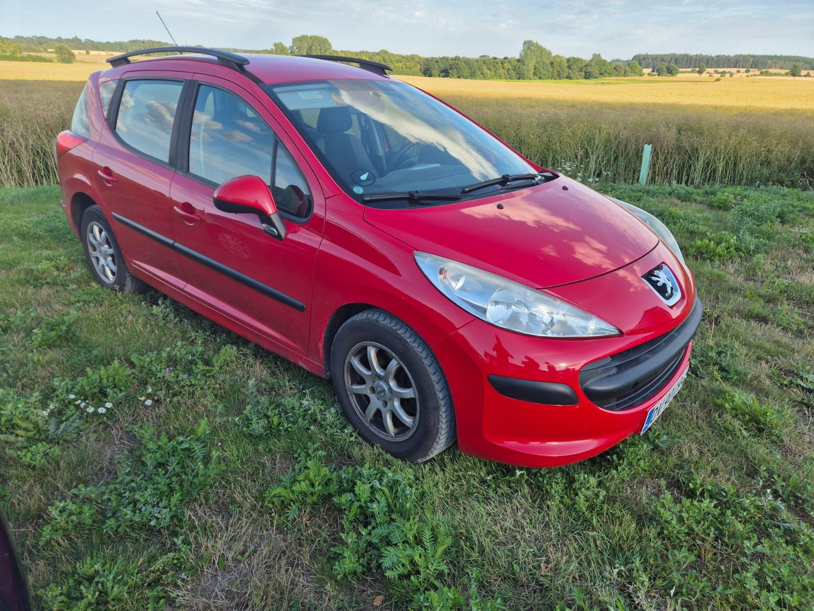 Rød Peugeot 207 fra 2008