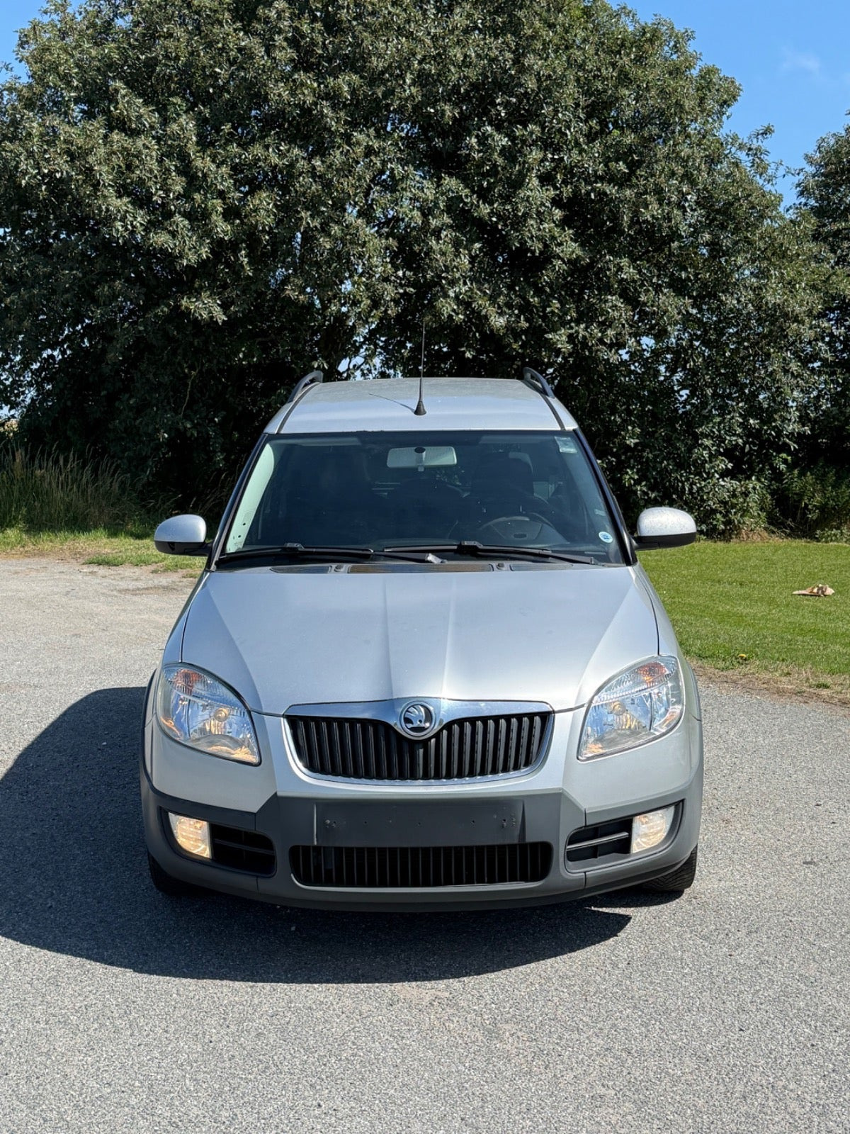 Sølv Skoda Roomster Scout fra 2008 set udefra