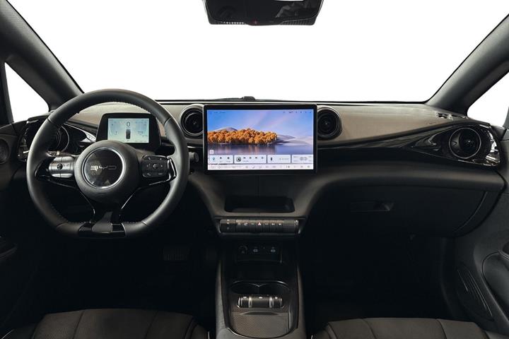 Grå BYD Dolphin fra 2024