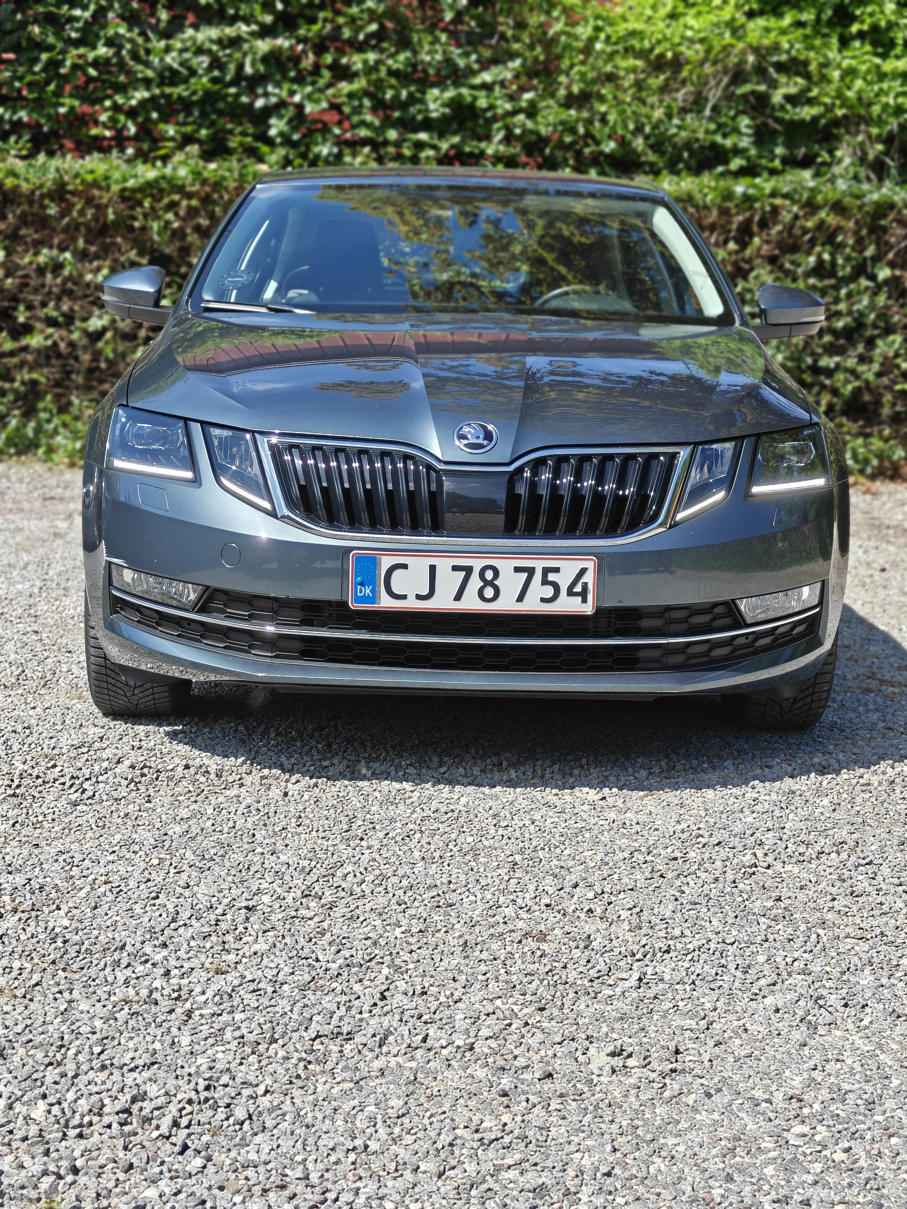Grå Skoda Octavia fra 2018