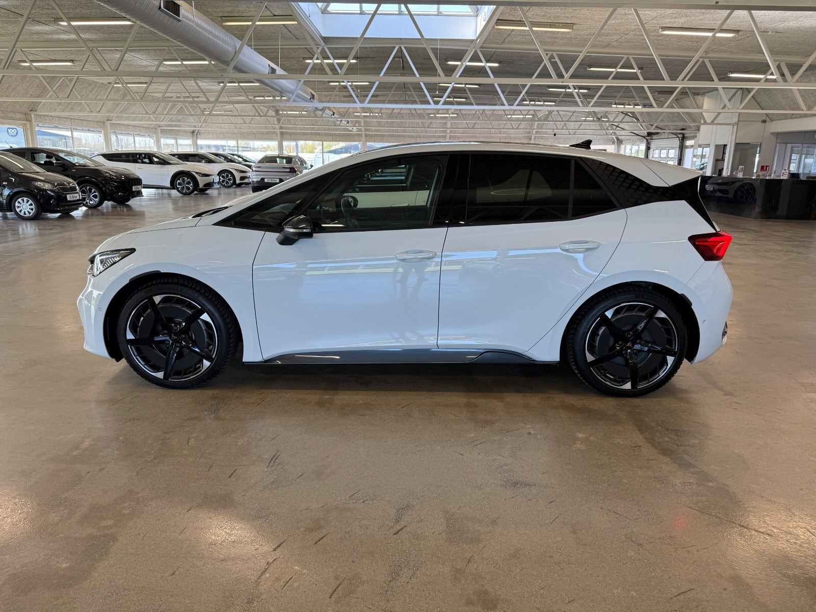 Hvid Cupra Born fra 2025