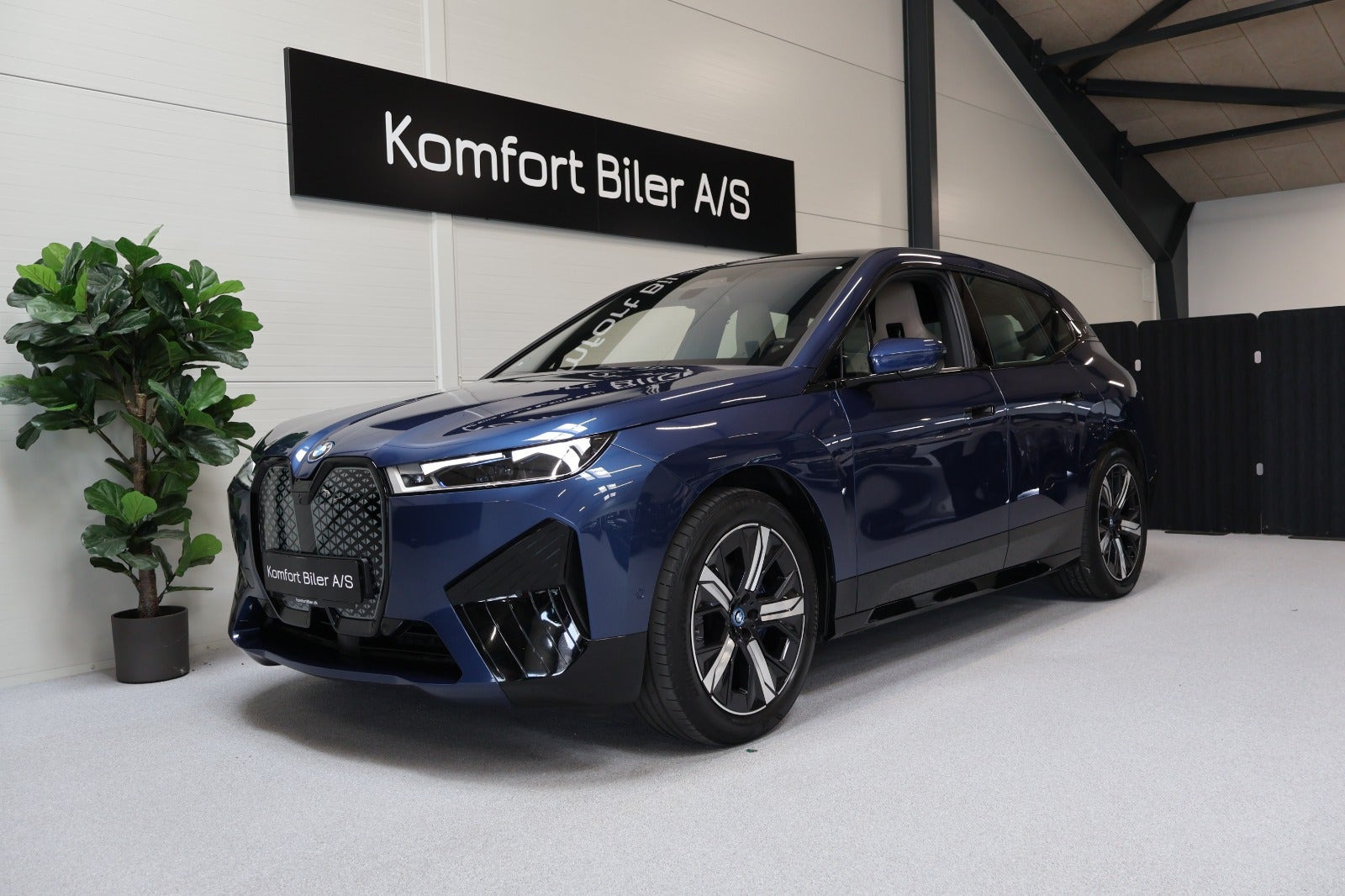 BMW iX xDrive40 Sport