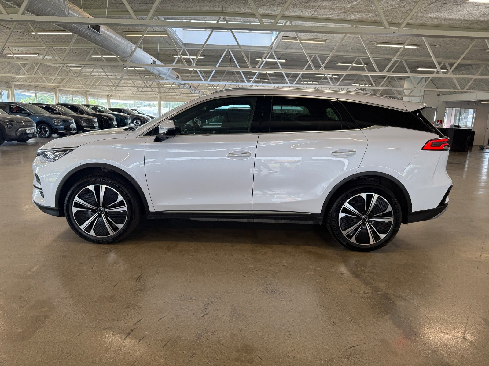 Hvid BYD Tang fra 2024