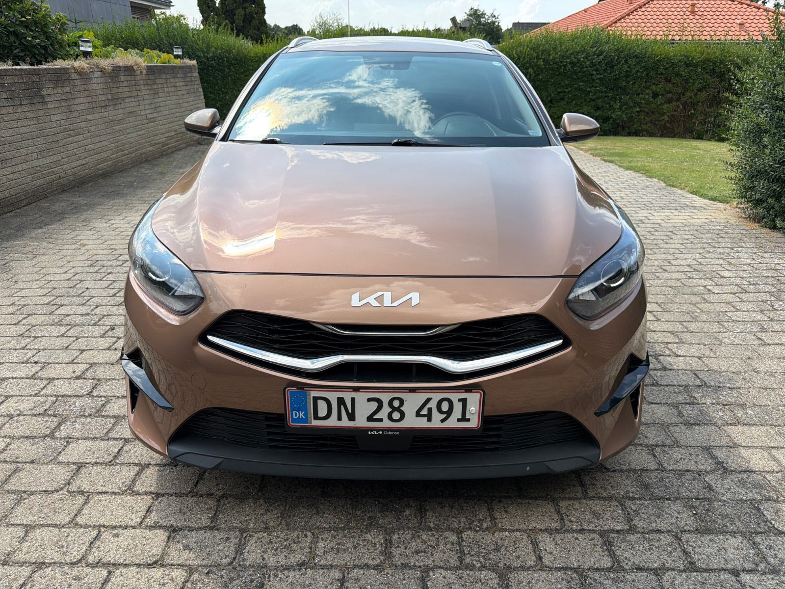Bronze Kia Ceed fra 2022