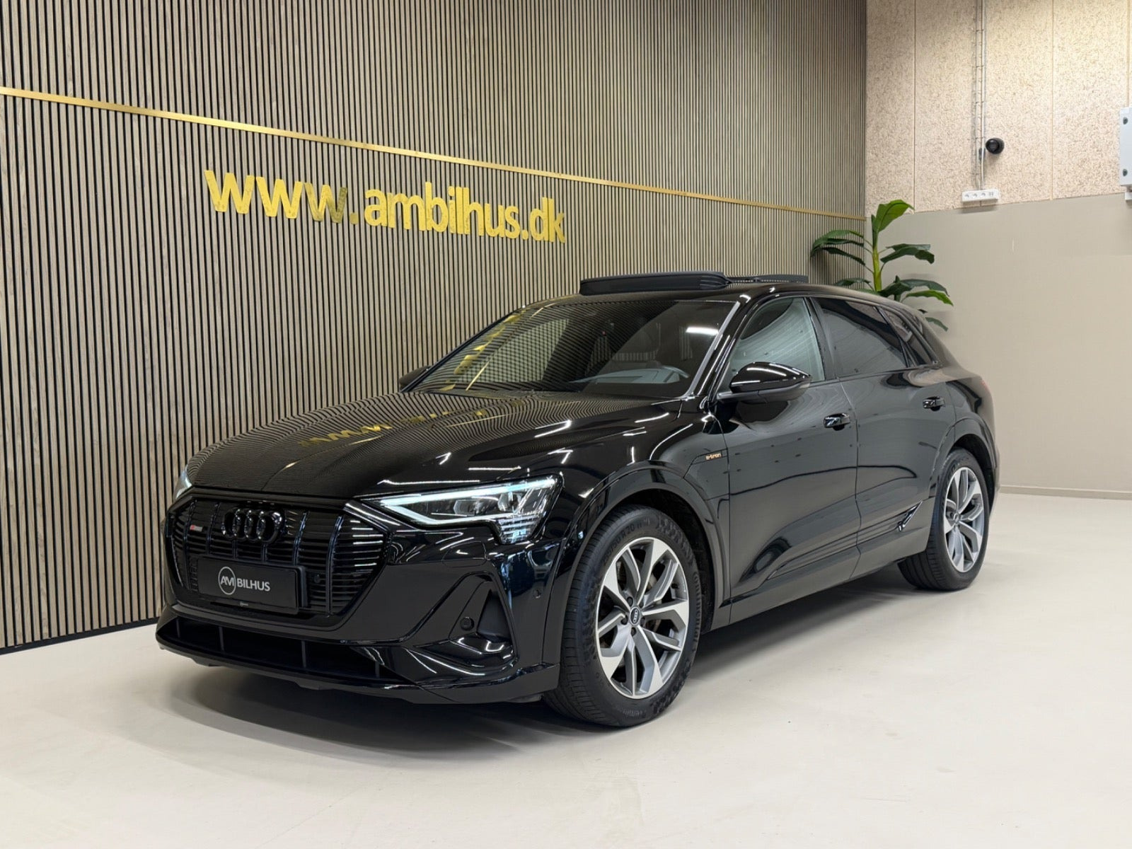 Audi e-tron 50 S-line quattro