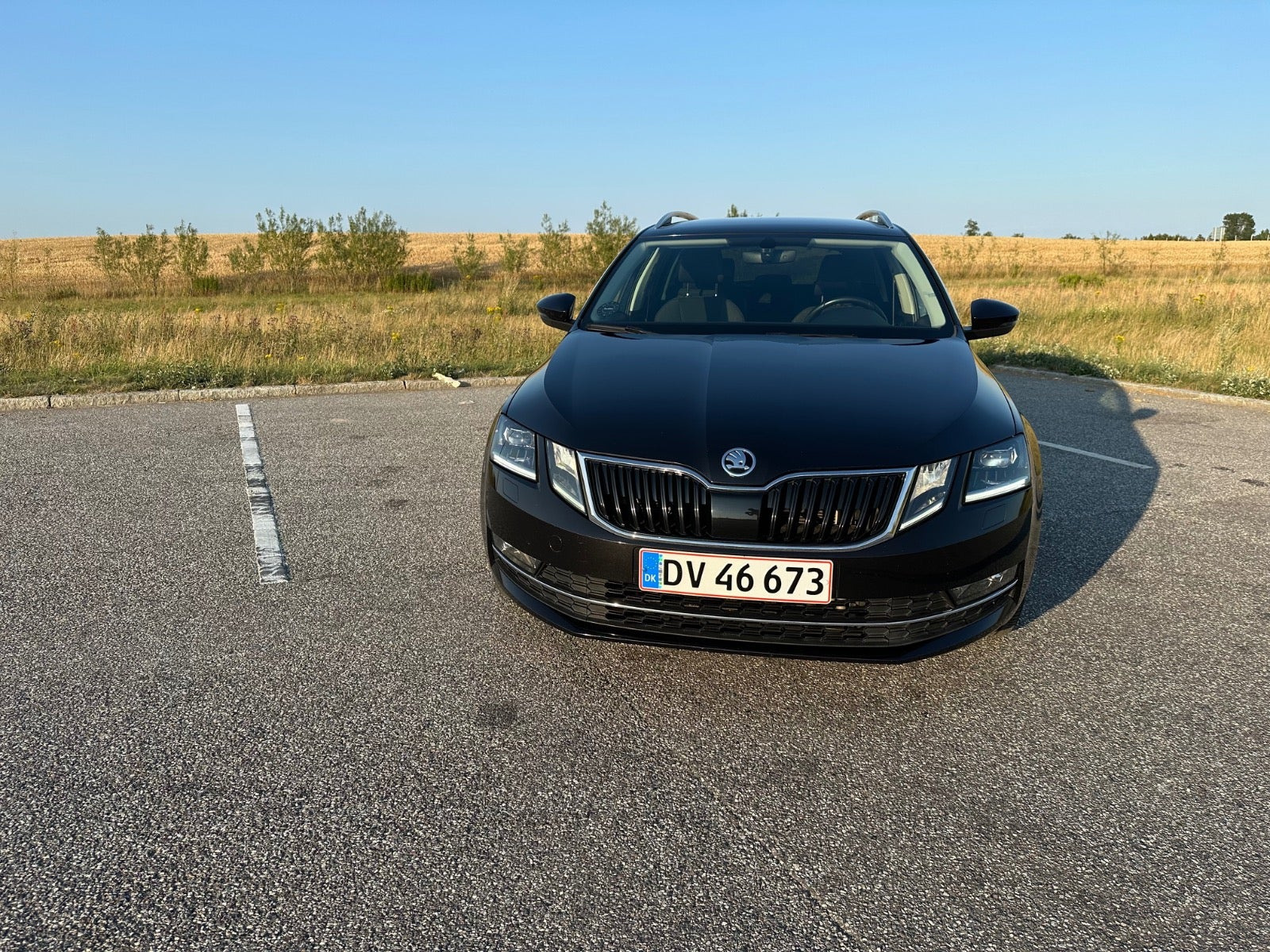 Sort Skoda Octavia fra 2019