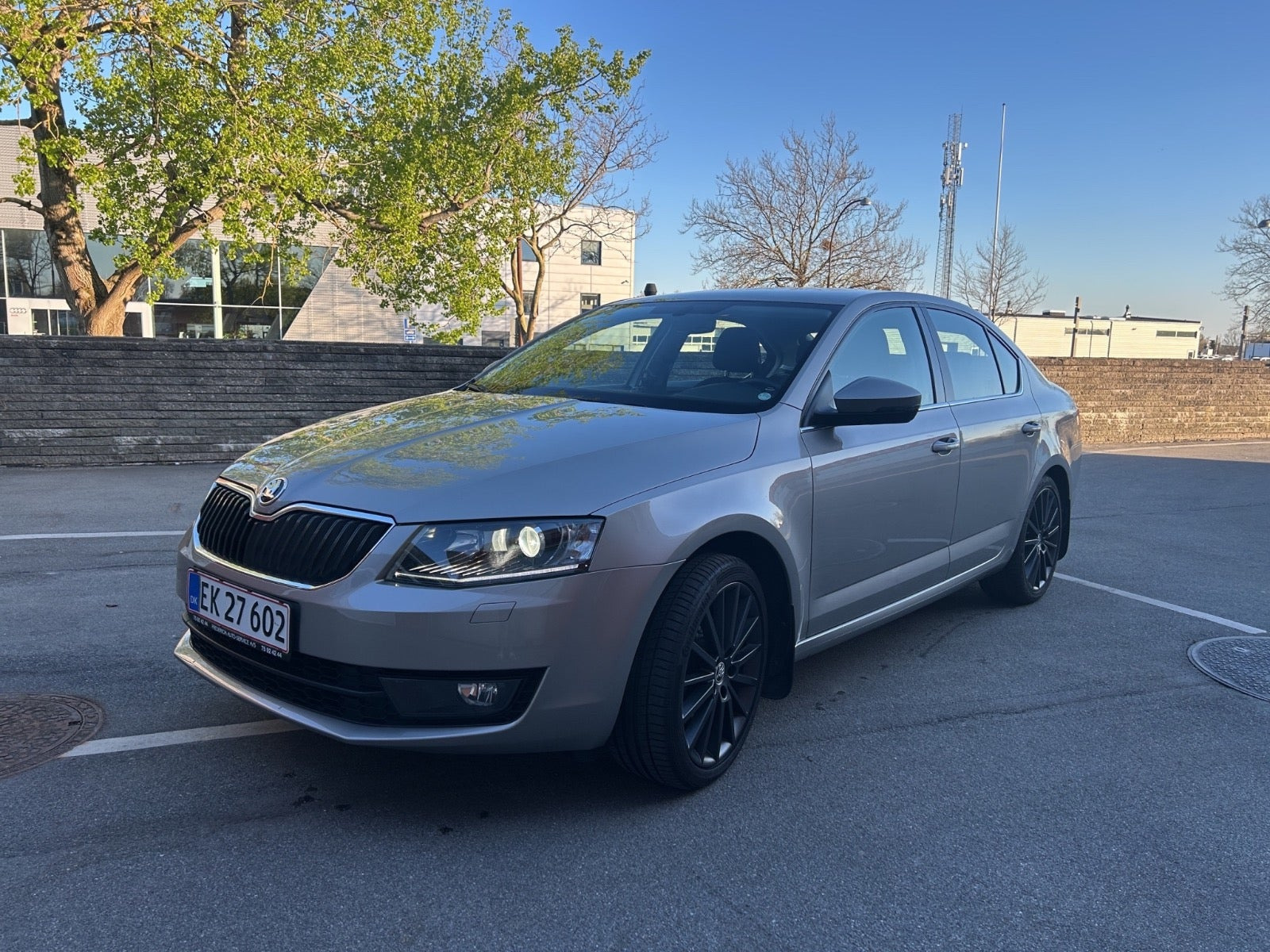 Beige Skoda Octavia fra 2017