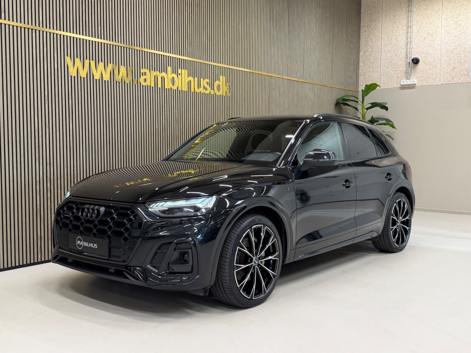Audi Q5 50 TFSi e S-line quattro S-tr.