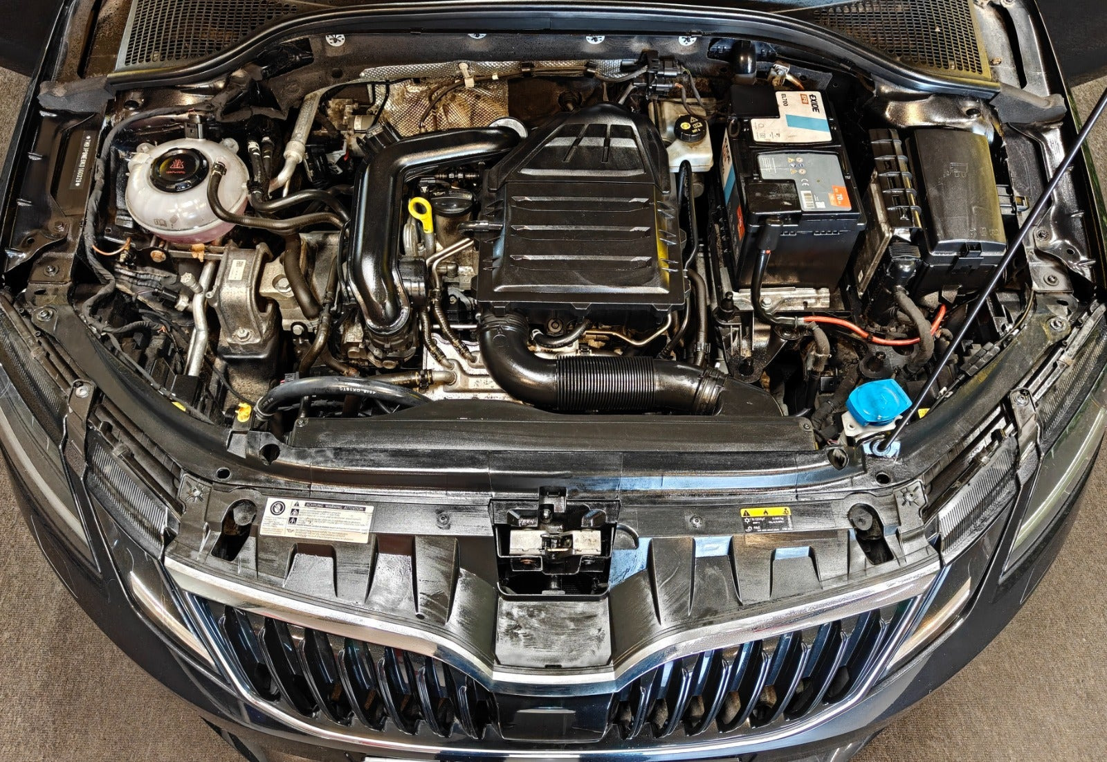 undefined Skoda Octavia fra 2019