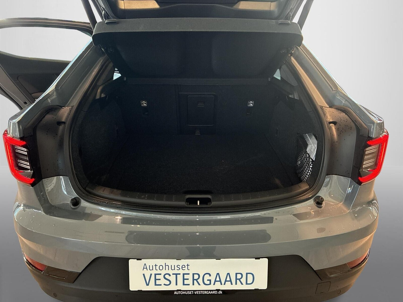 Grå Polestar 2 fra 2021