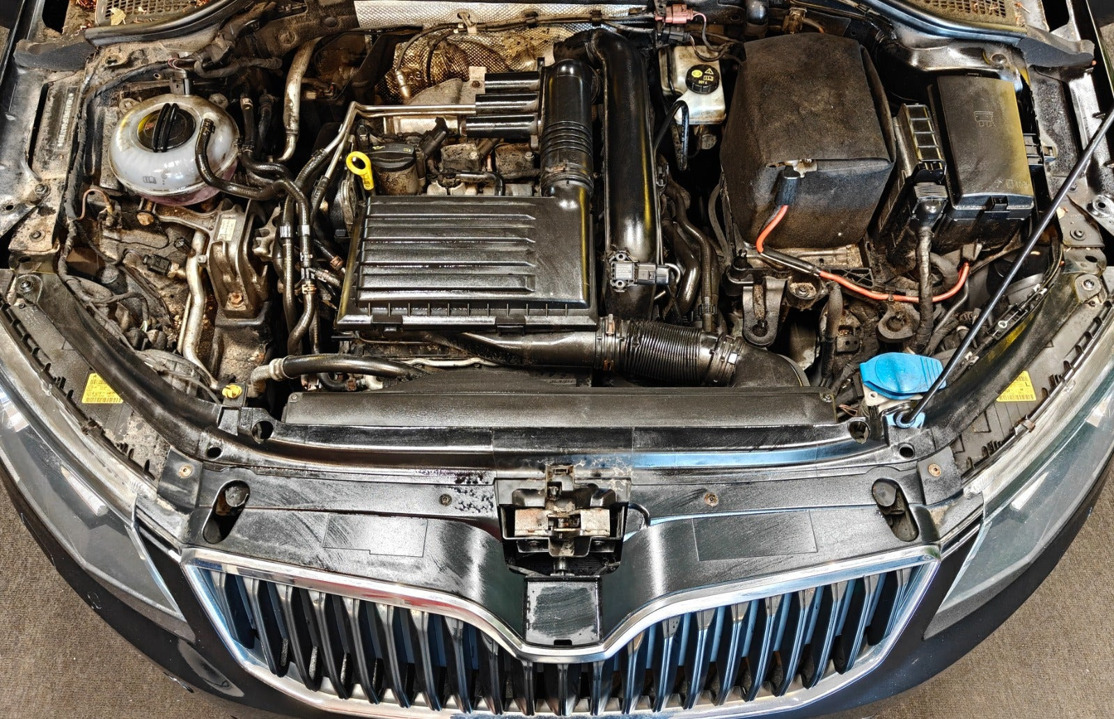 undefined Skoda Octavia fra 2015