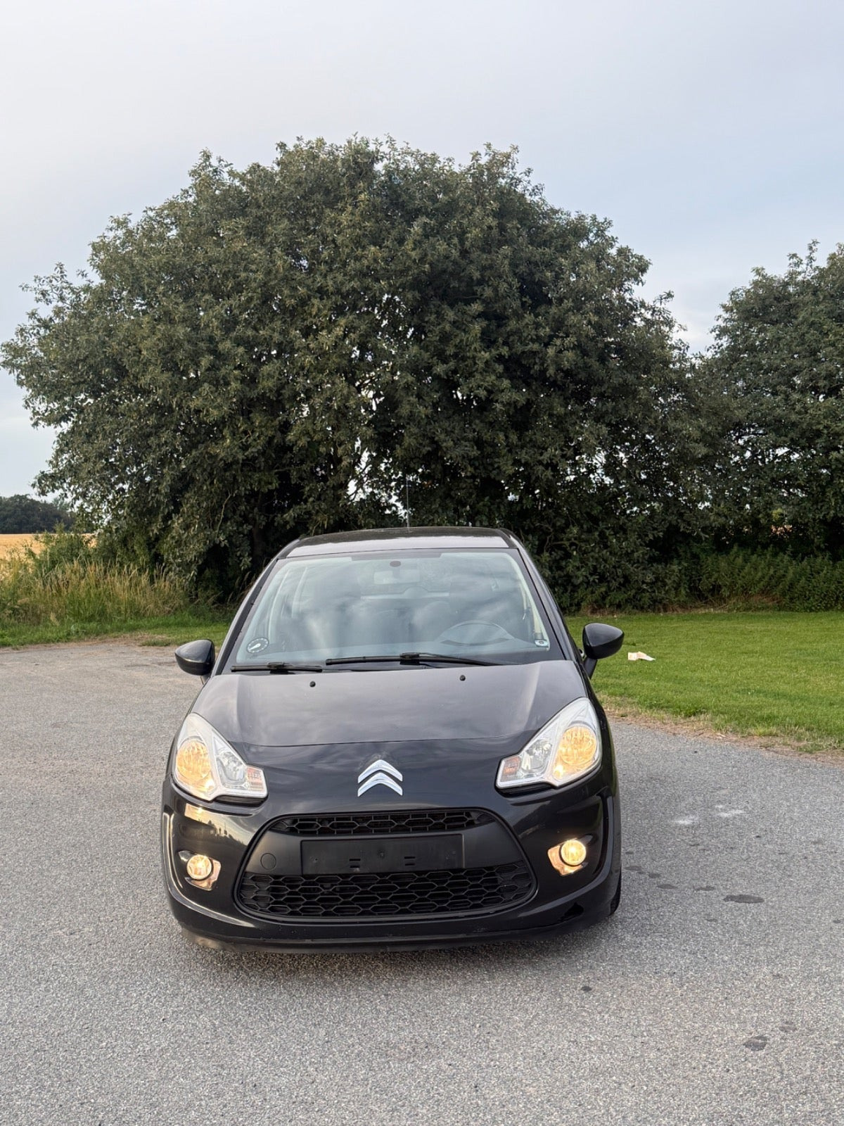 Sort Citroën C3 fra 2010