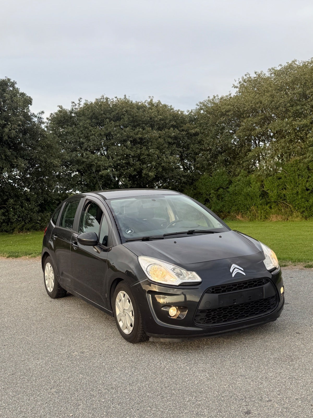 Sort Citroën C3 fra 2010
