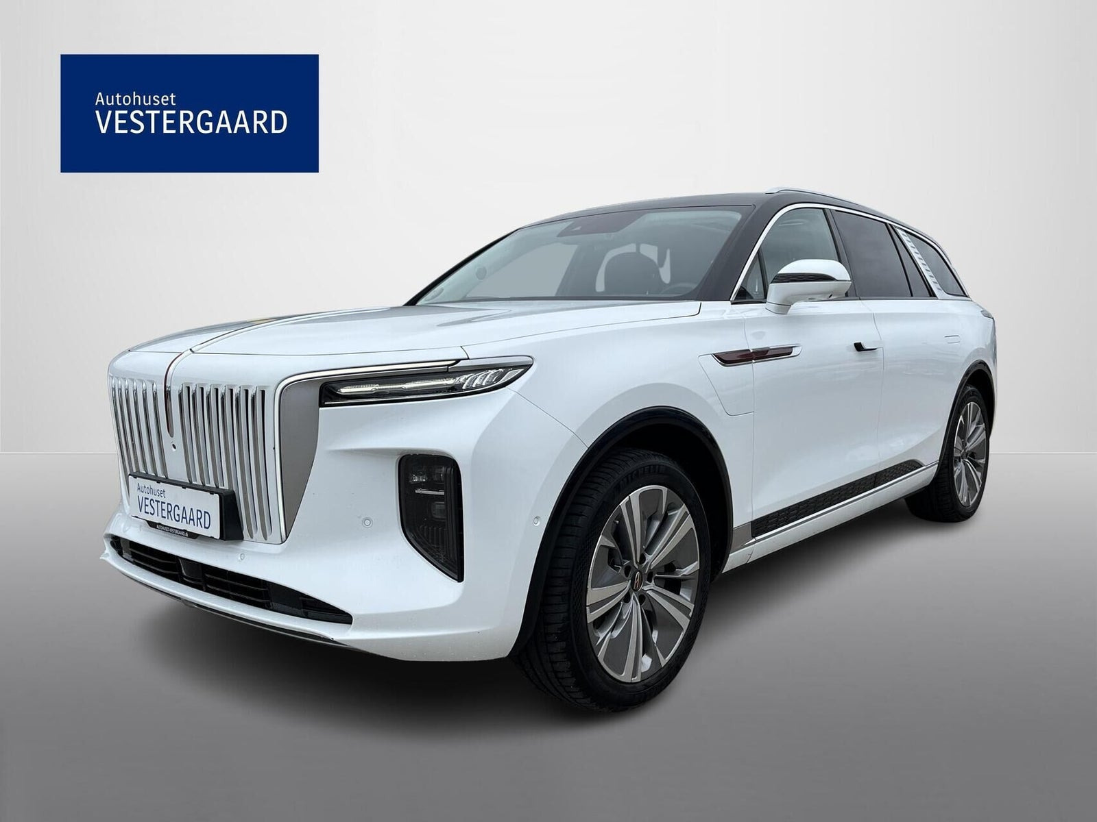 Hongqi E-HS9 99 Premium