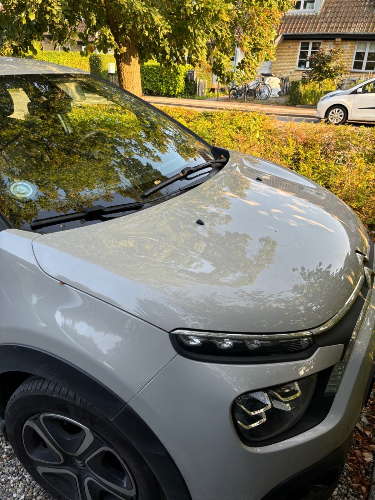 Hvid Citroën C3 fra 2021