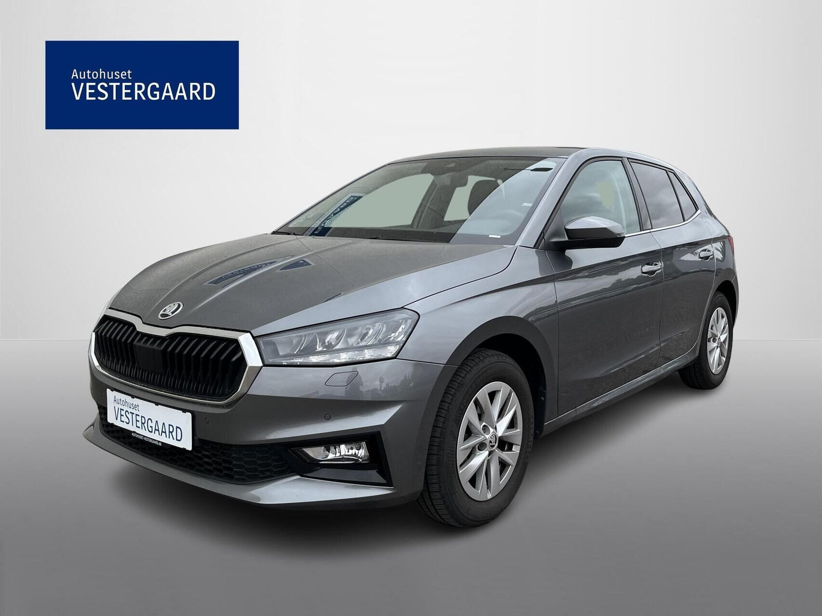 Skoda Fabia 1,0 TSi 110 Selection