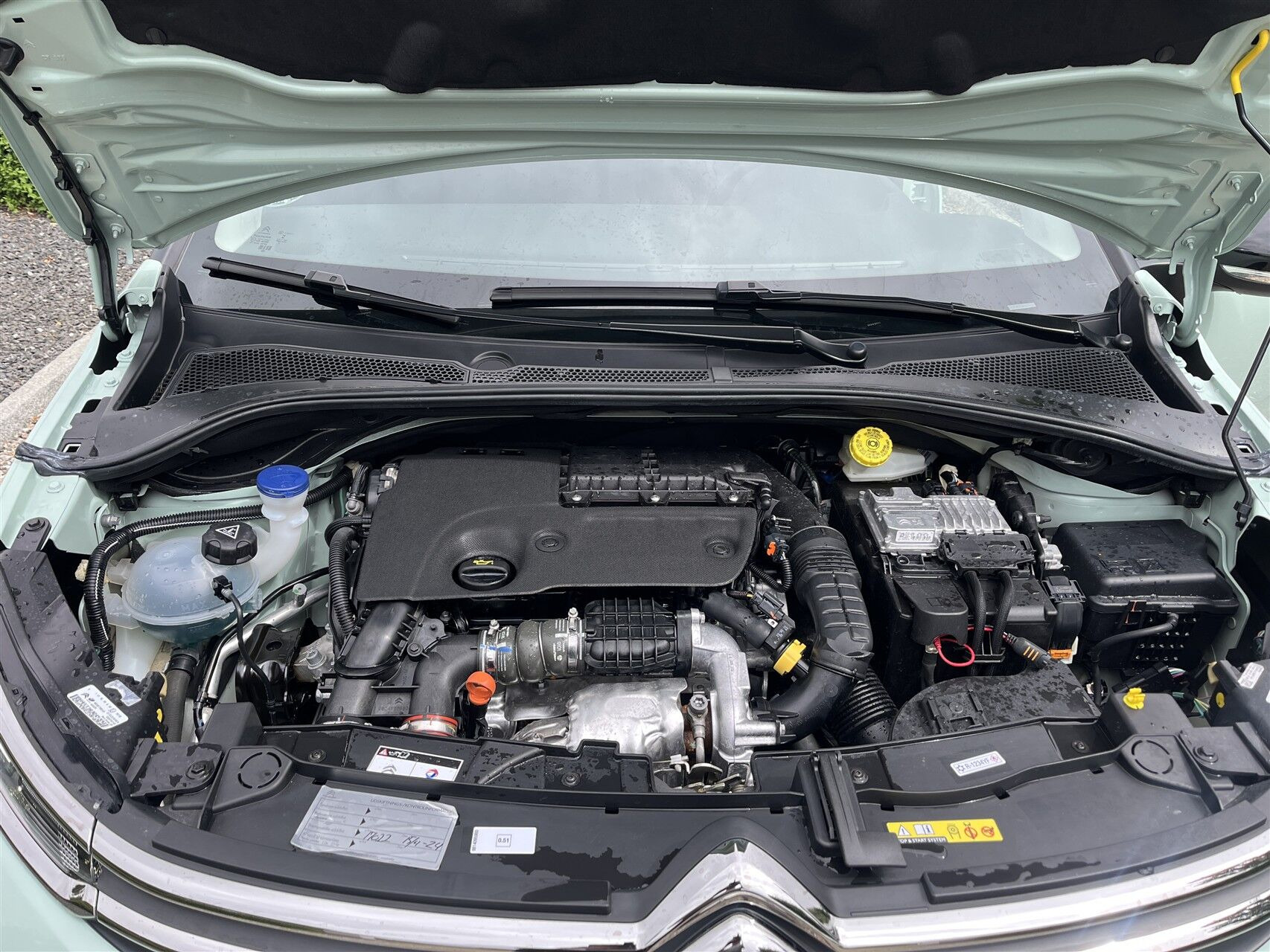 Grøn Citroën C3 fra 2018