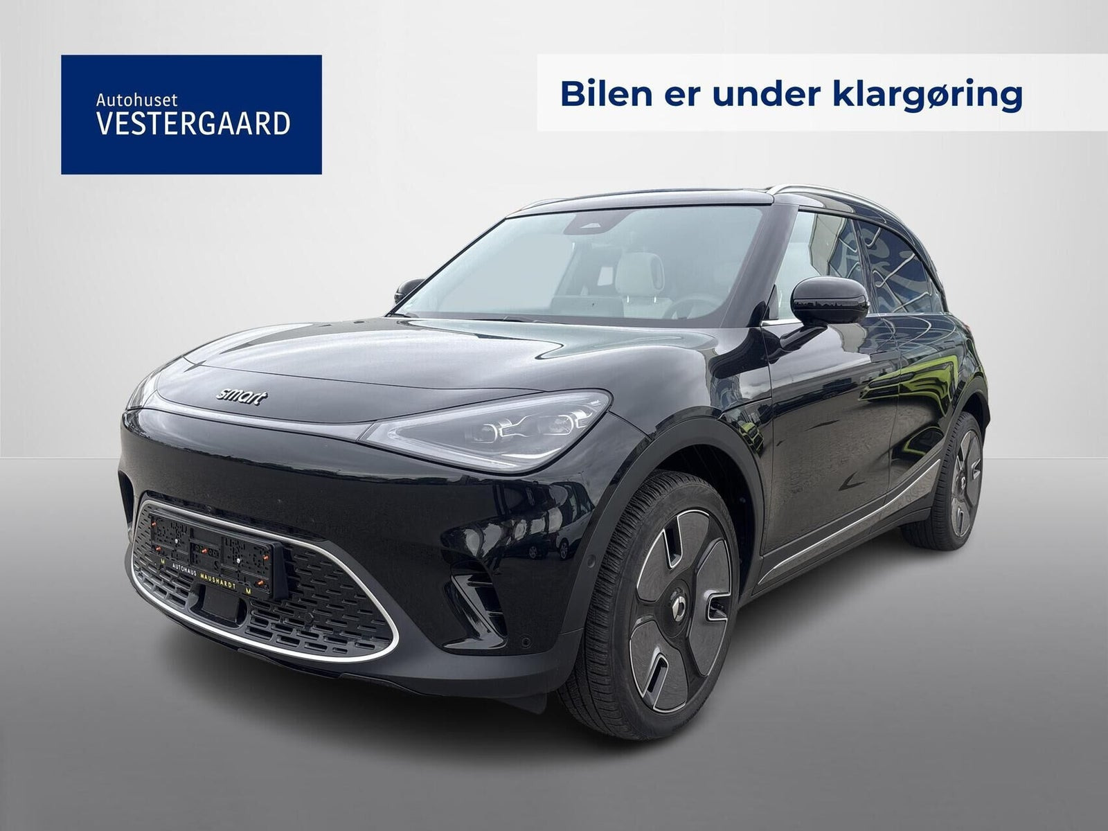 Smart #1 66 Premium