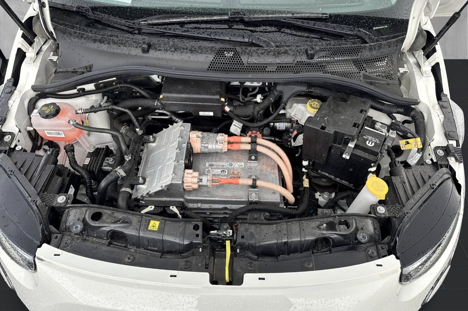 Grøn Fiat 500e fra 2023