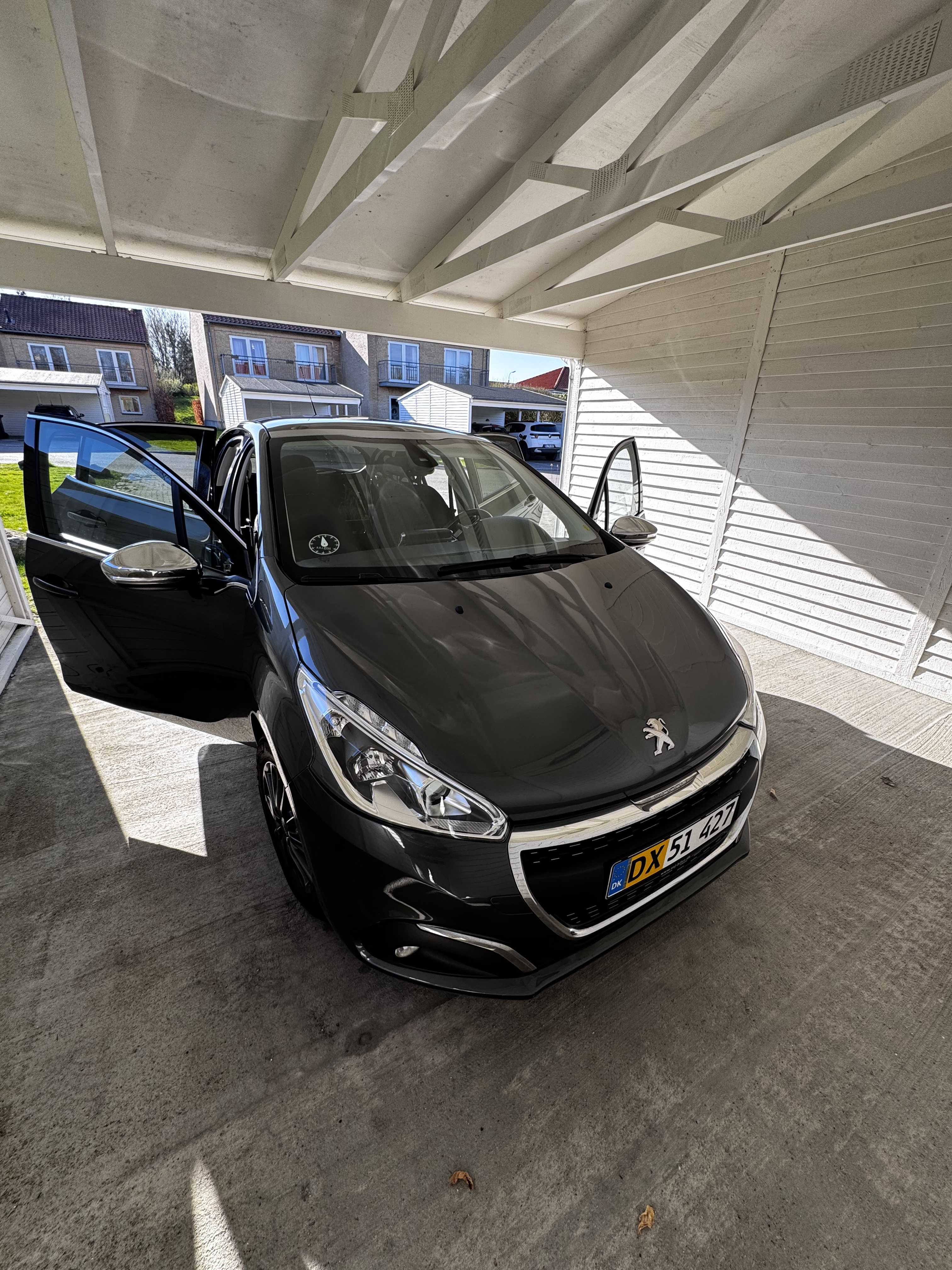 Peugeot 208 1,6 BlueHDi 100 hk 5D sky