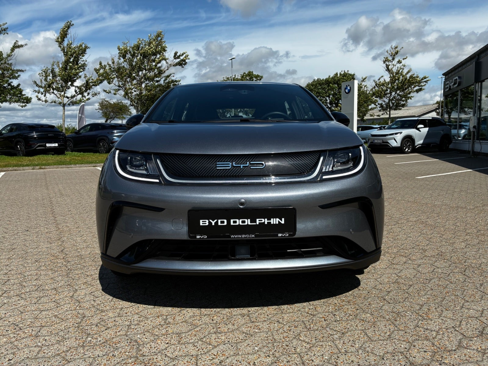 Grå BYD Dolphin fra 2024