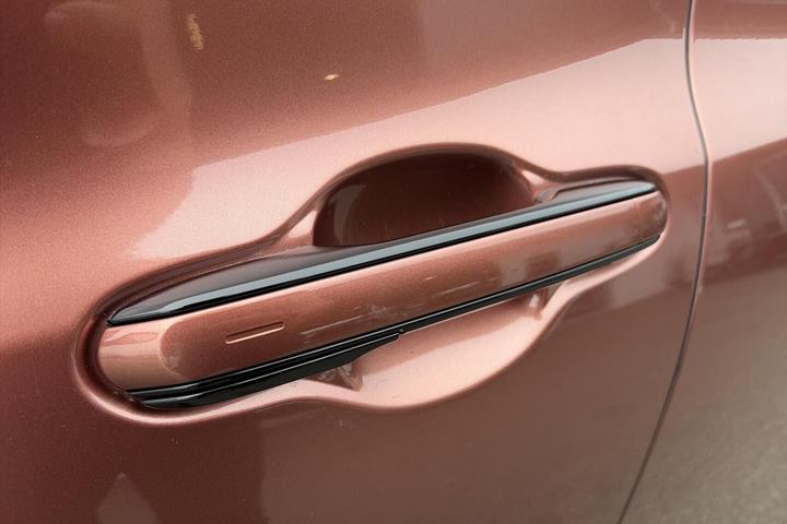 Sort Lexus RZ fra 2025