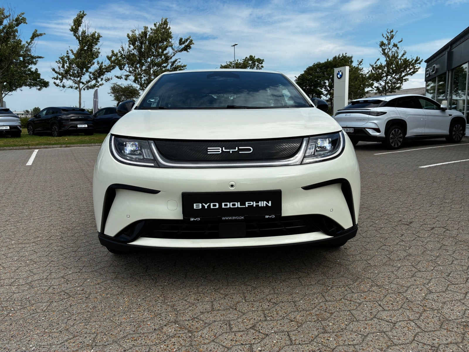 Beige BYD Dolphin fra 2024