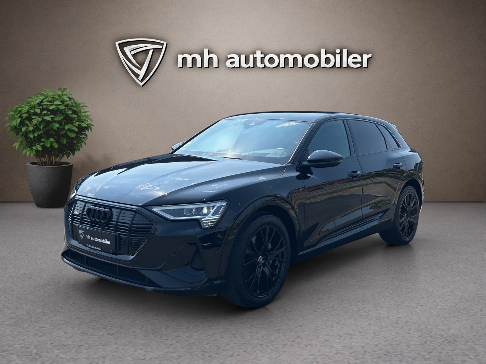Audi e-tron 55 S-line quattro