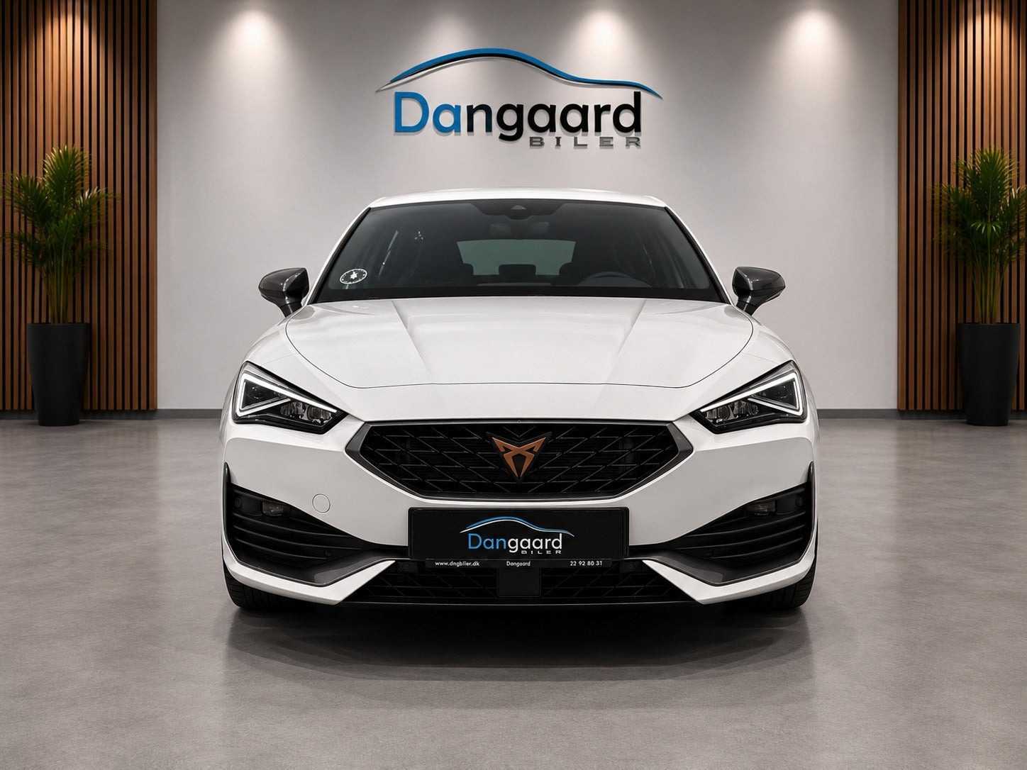 Sort Cupra Leon fra 2022