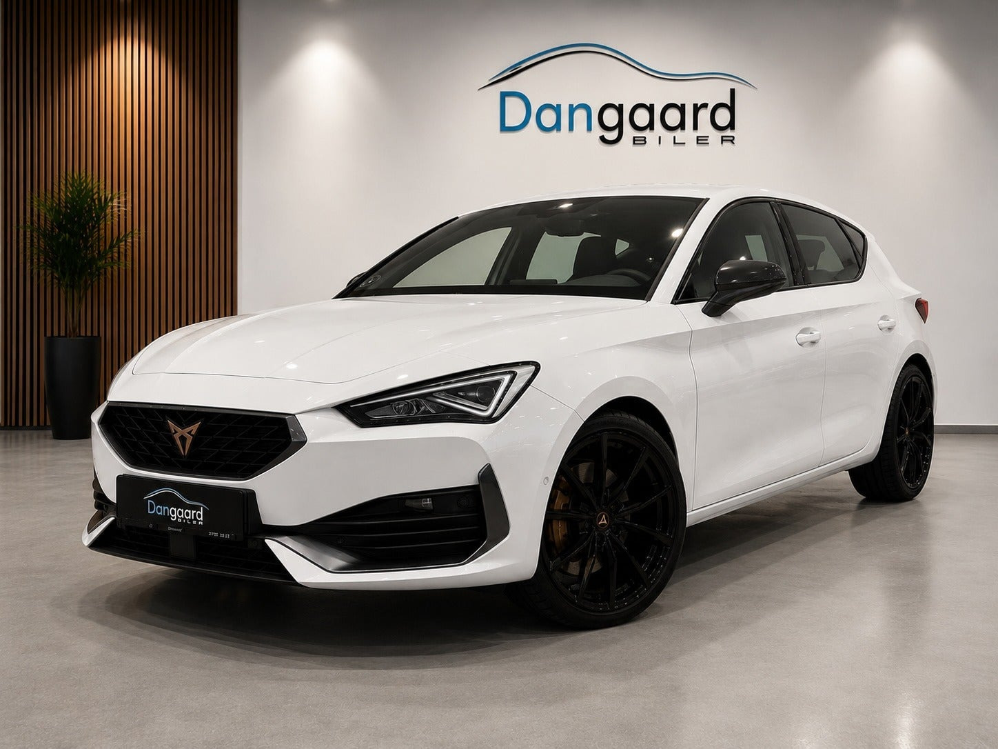 Sort Cupra Leon fra 2022