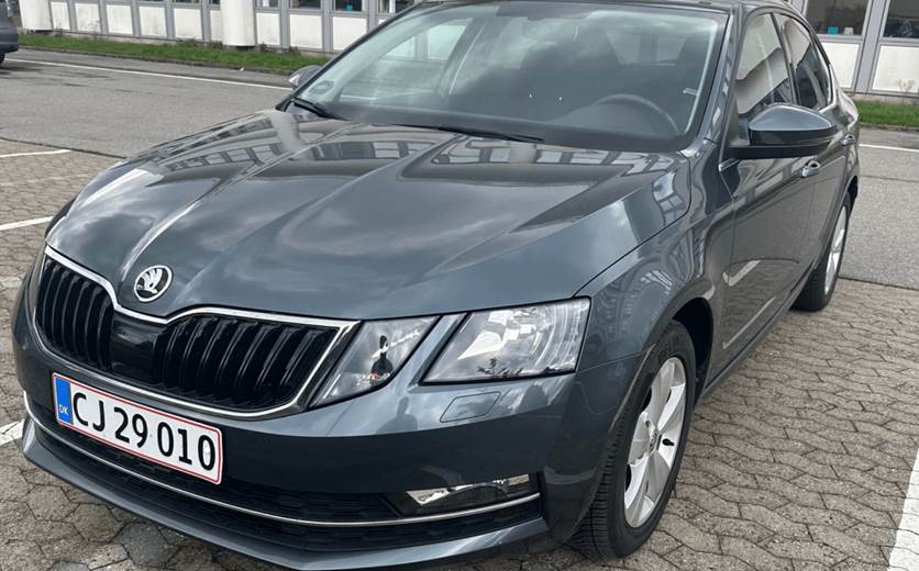 Skoda Octavia 2,0 TSi 190 Style DSG