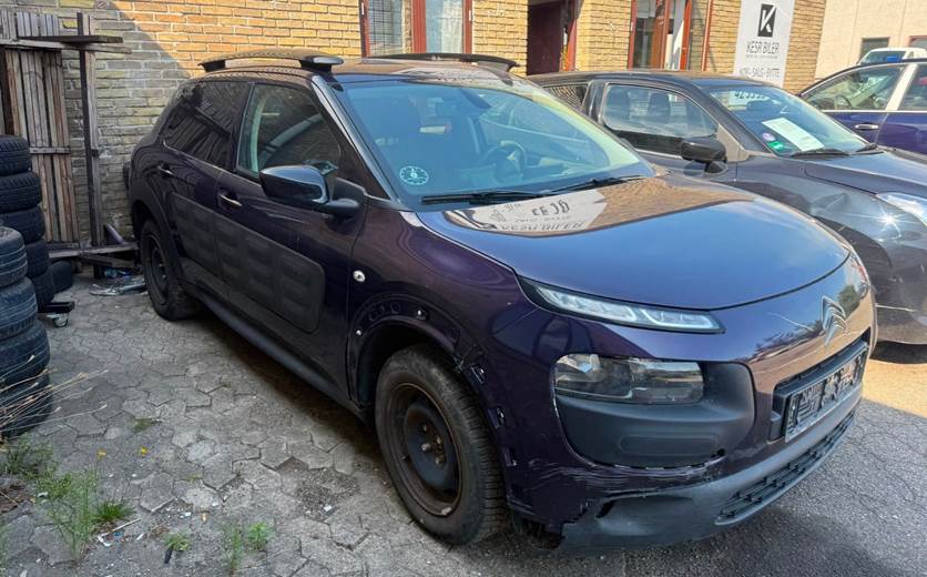 Citroën C4 Cactus 1,6 BlueHDi 100 Challenge Van